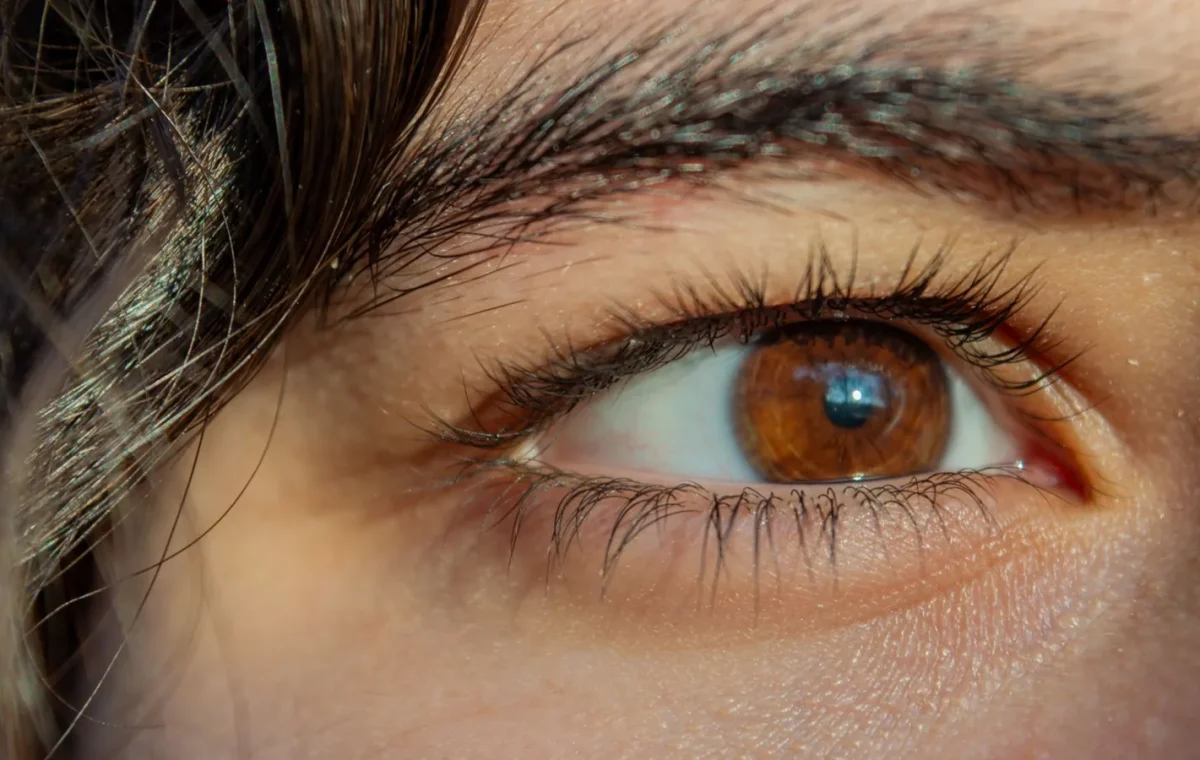 Detailed close-up of a brown eye illuminated by natural sunlight, emphasizing texture.