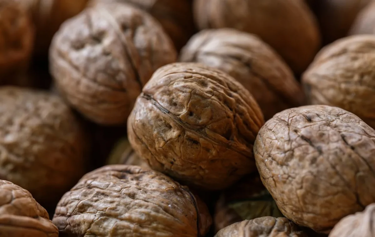 Macro shot highlighting texture of fresh organic walnuts. Ideal for health and food themes.