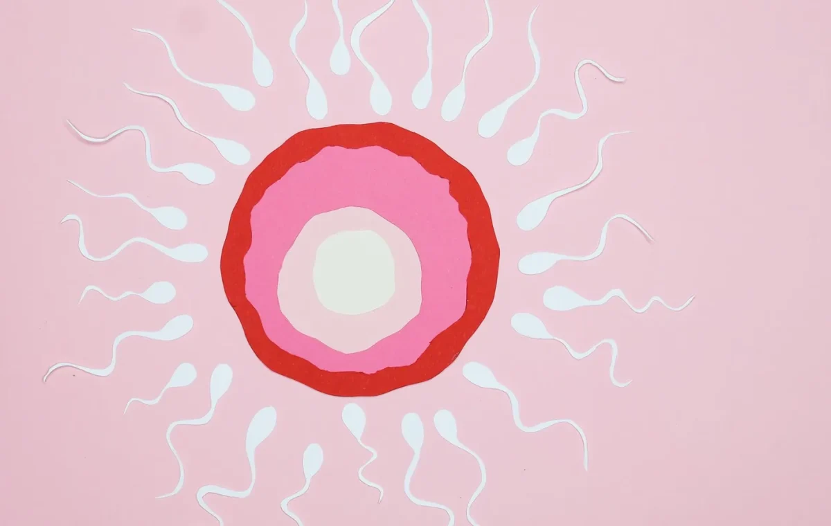 Varikosel Nedir? Erkek Üreme Sağlığı ve Testis Damarlarındaki Genişleme